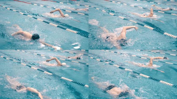 游泳运动员在泳池里游泳