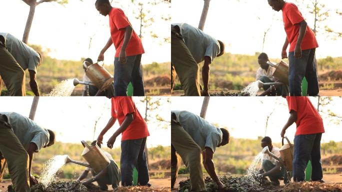 在非洲农村农场工作的男人