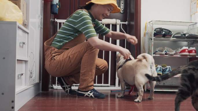 文明城市合法养狗办狗证遛狗牵绳巴哥犬宠物