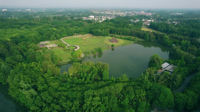 翠绿斑竹林竹林候鸟栖息地