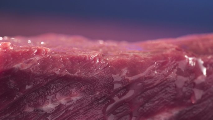 牛肉烧烤肉串烤肉
