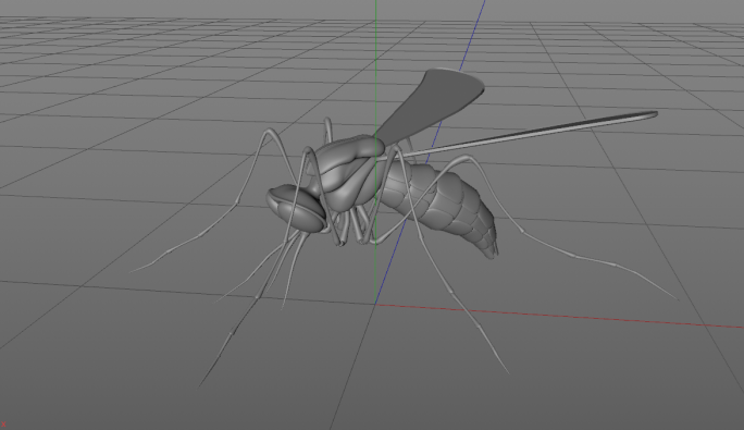 C4D蚊子模型工程源文件可编辑