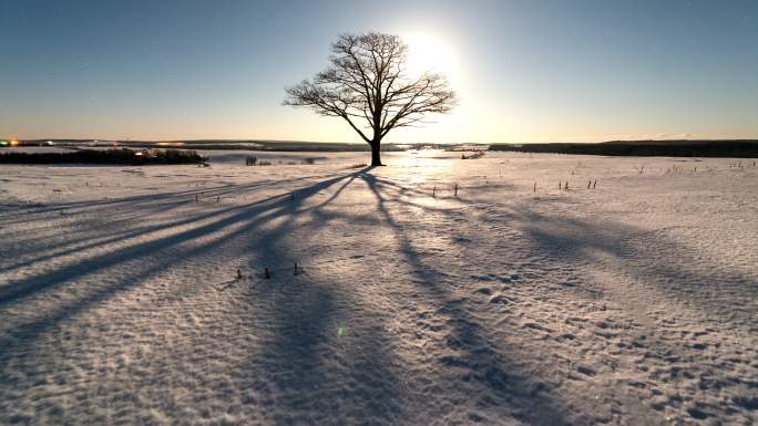 扫过月光的影子雪地延时冬季季节延时雪地枯