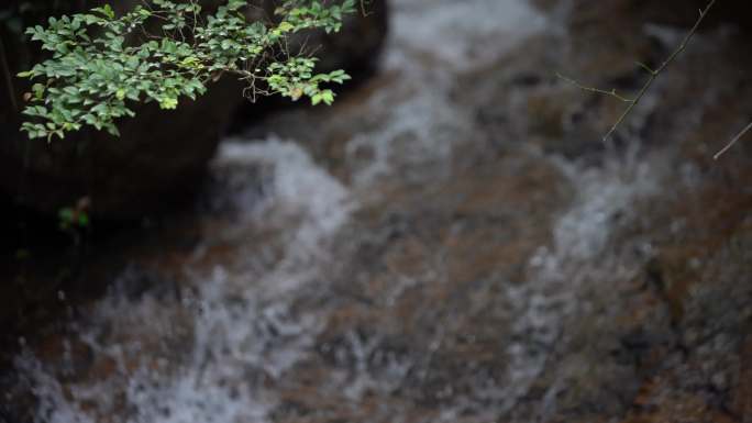 山林间石阶小溪流水