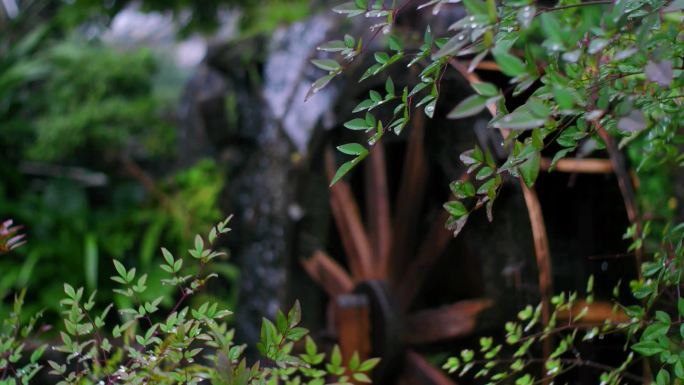 水车水车水筒车农村水车水车转动溪水转动的