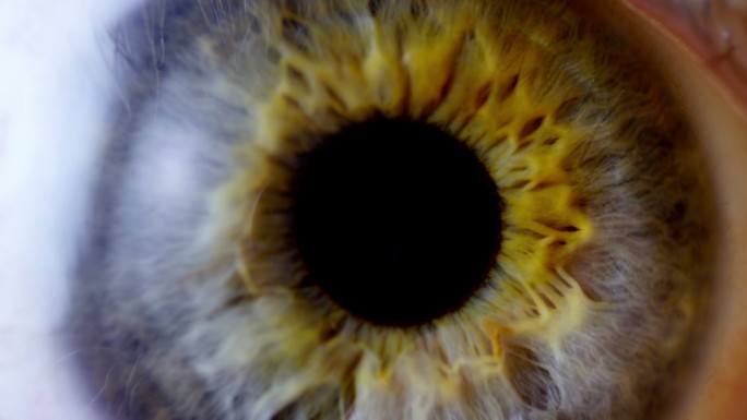 极近距离人眼虹膜近视瞳孔眼膜视力眼部