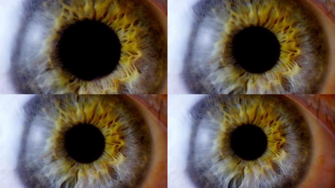 极近距离人眼虹膜近视瞳孔眼膜视力眼部