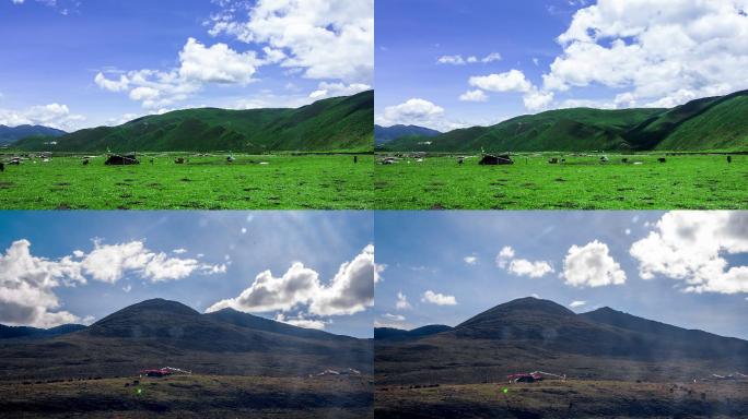 【4k】高原藏族放牧延时摄影