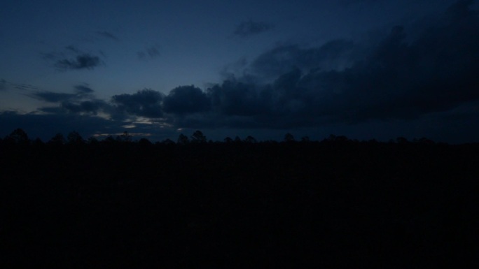 晨光中的森林天空云层黑夜夜晚雷击乌云暴雨