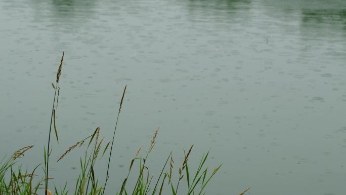 6K雨中河面河道雨滴08