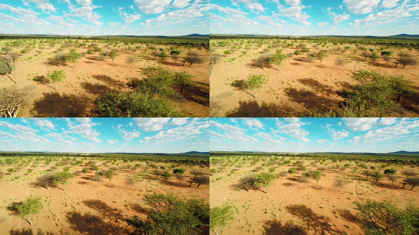 无人机视角下的纳米比亚大草原