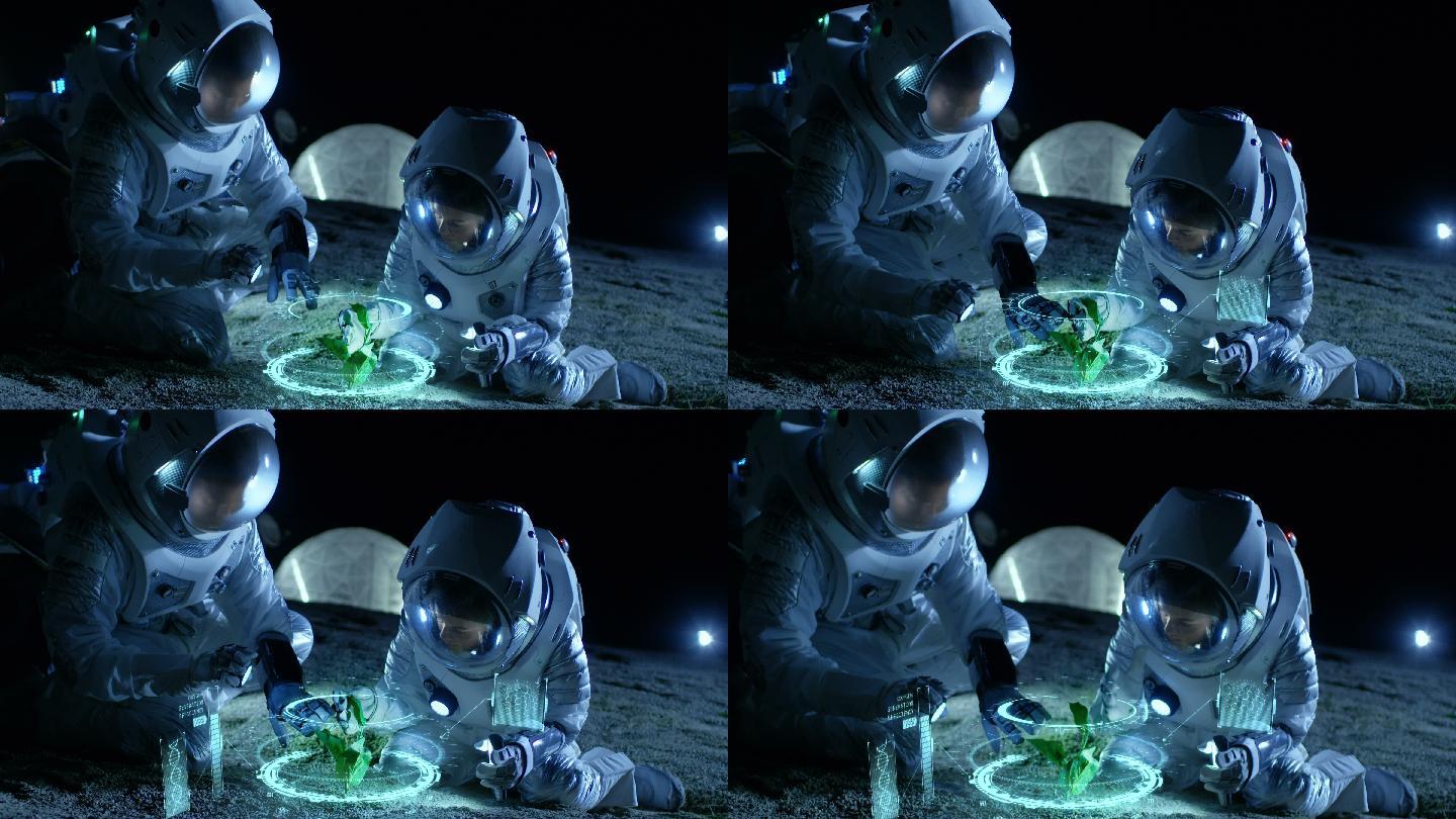 宇航员在分析外星行星上发现的植物