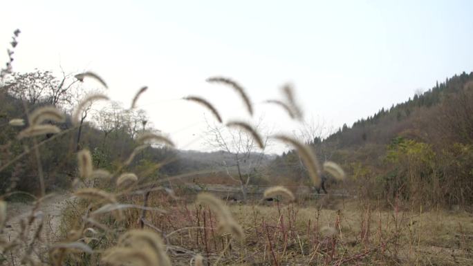 【原创】50年代农村贫苦生活记录片素材