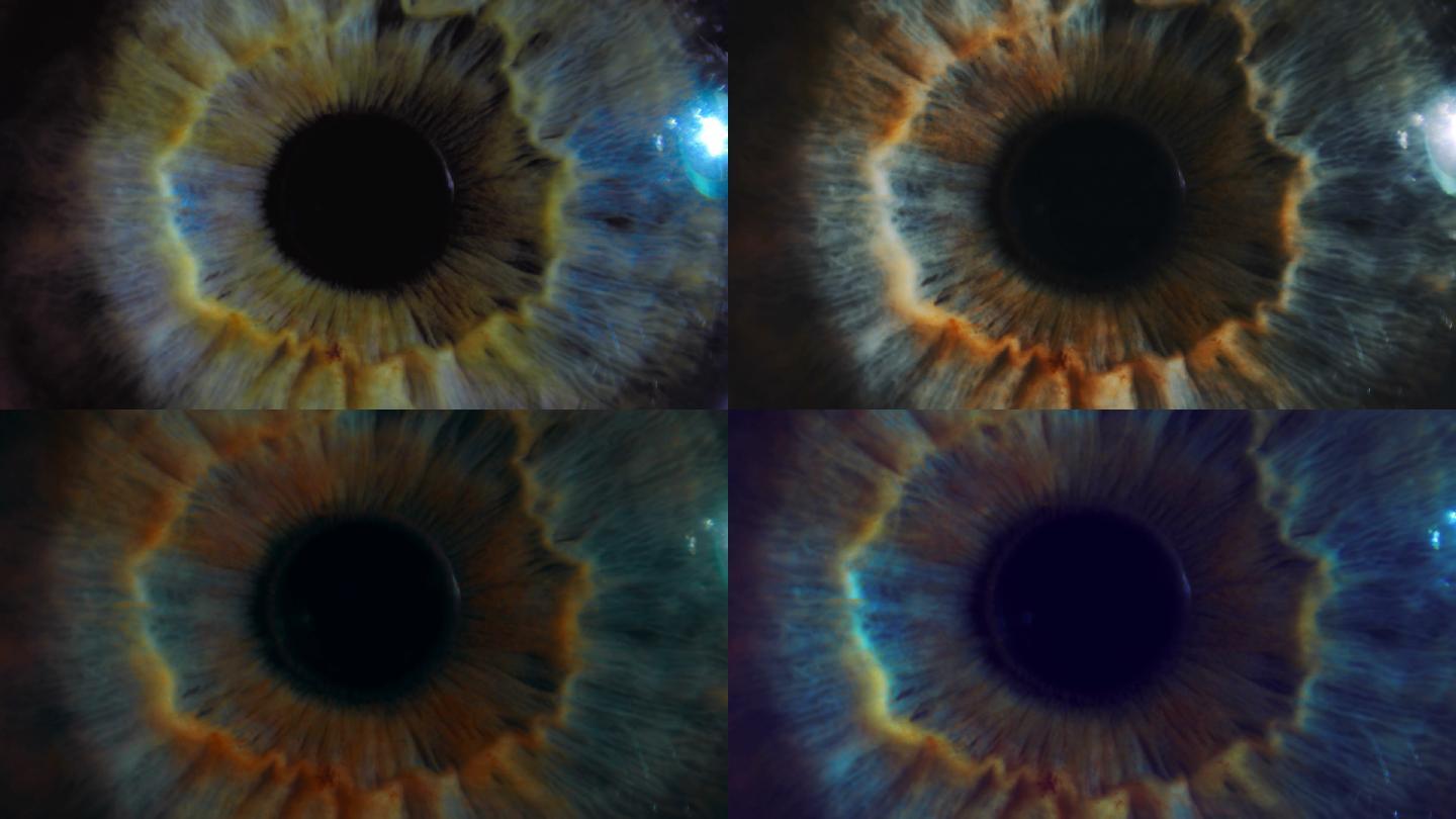 眼睛虹膜和瞳孔特写