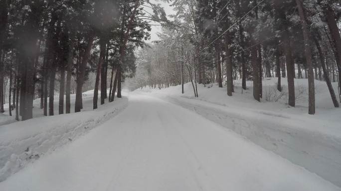 冬季雪路冬天4K大雪覆盖