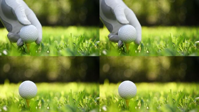 把高尔夫球放在绿草上