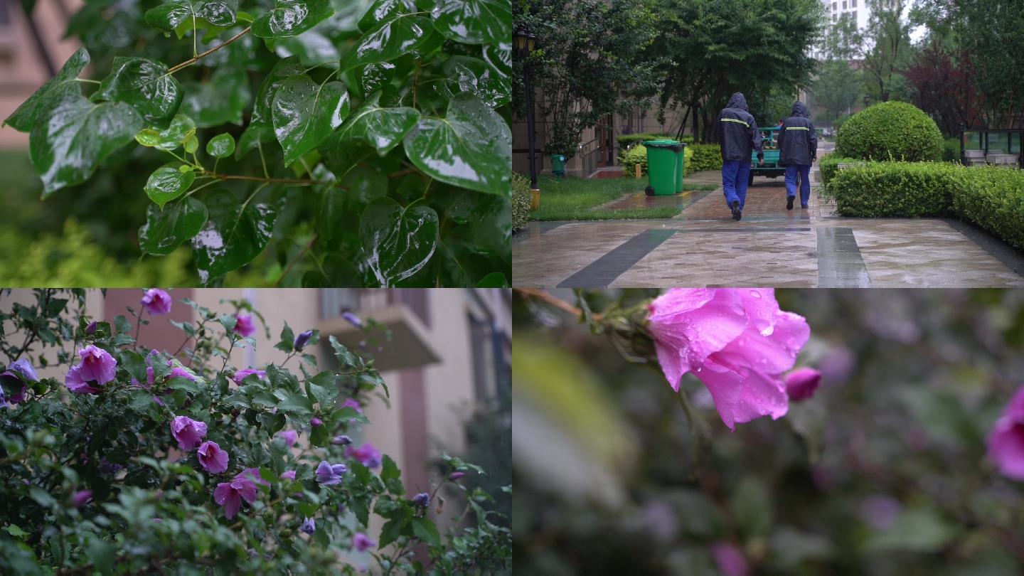 下雨 小区下雨