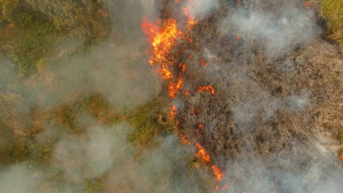 森林失火航拍素材火灾火海山火气象灾害灾难
