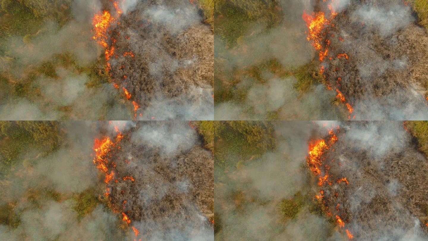 森林失火航拍素材火灾火海山火气象灾害灾难