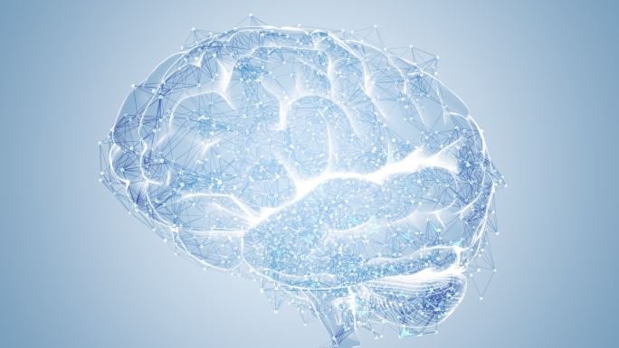 人工智能脑环路人脑数据中心计算机网络