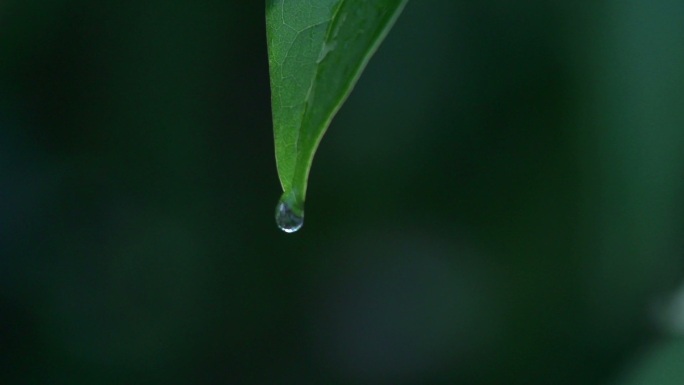 一滴水珠