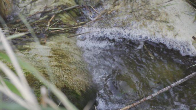 水面杂物