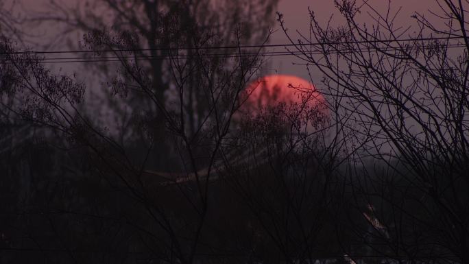 朝阳日出