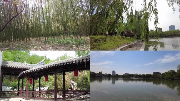 北京公园-晨练-户外休闲运动