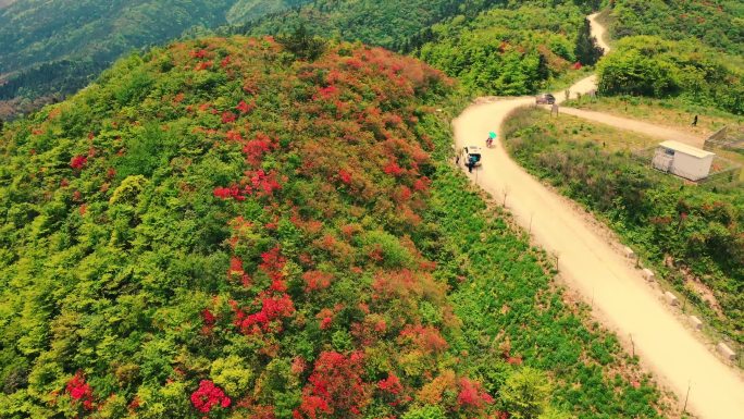 龙山