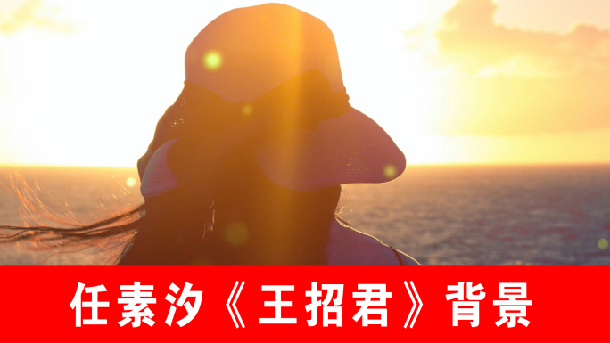 王招君-任素汐（声画同步）