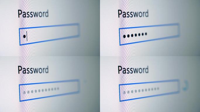 密码输入网站用户资料信息安全网络系统