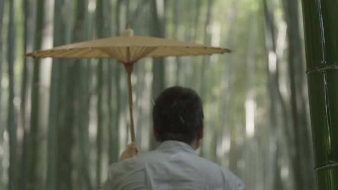 男人打雨伞在竹林中行走