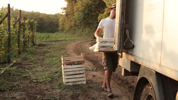 农民用卡车运送装有蔬菜的箱子