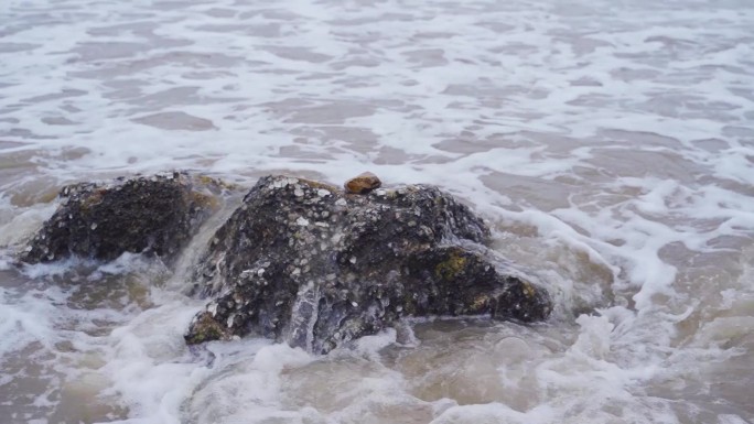 休渔期浑浊的海水