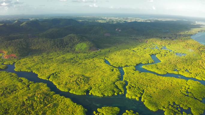 亚马逊雨林和河流鸟瞰图