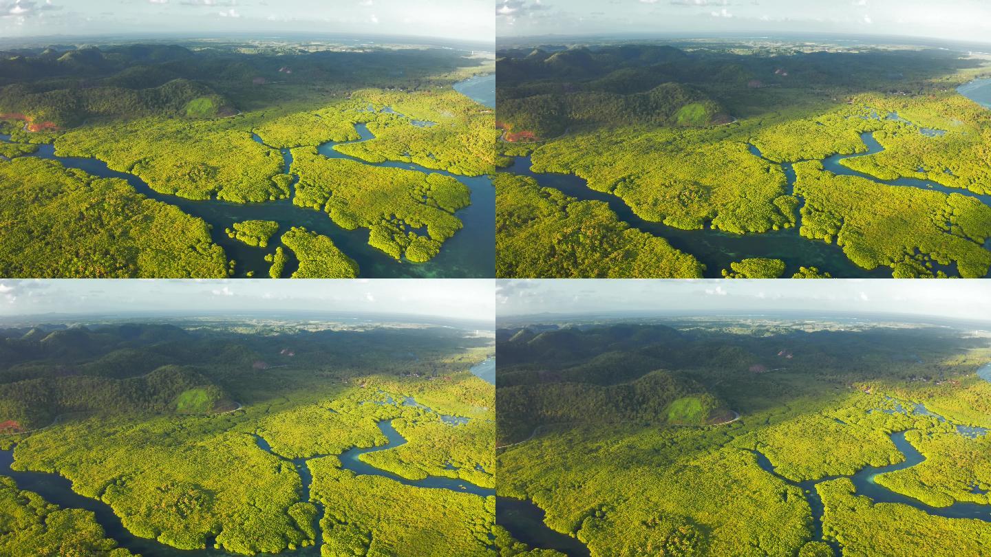 亚马逊雨林和河流鸟瞰图