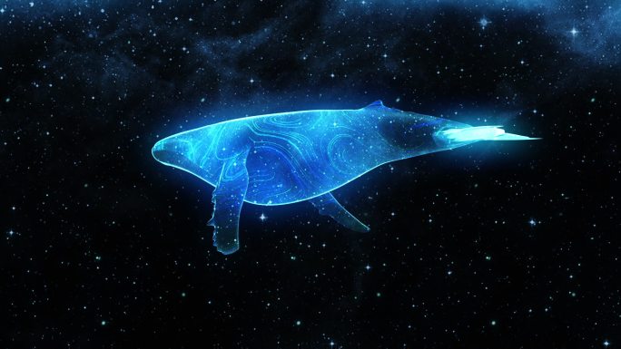 梦幻鲸鱼