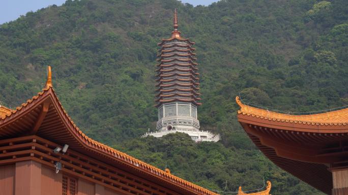 风景夏天古塔古建筑寺庙