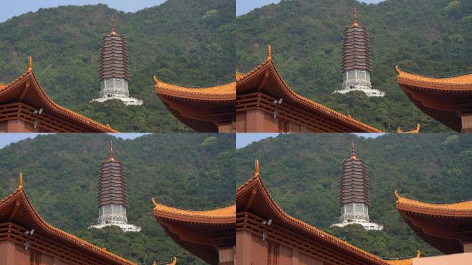 风景夏天古塔古建筑寺庙