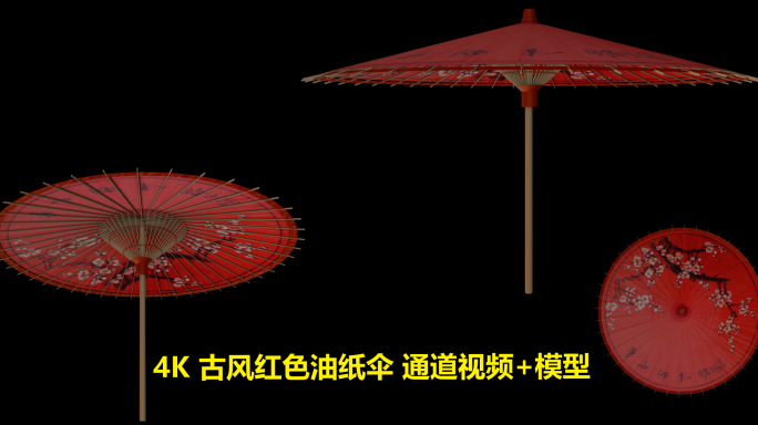 4K红油纸伞透明通道10s循环模型