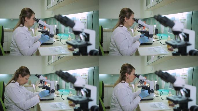 中年女医生在微生物实验室看显微镜