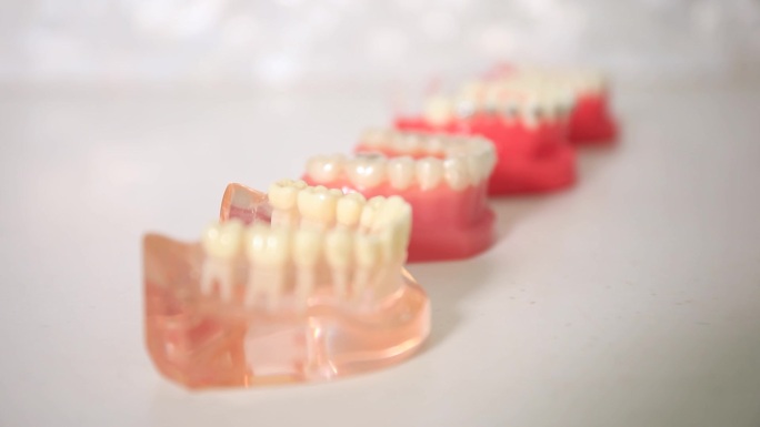 牙医用的牙具模型特写
