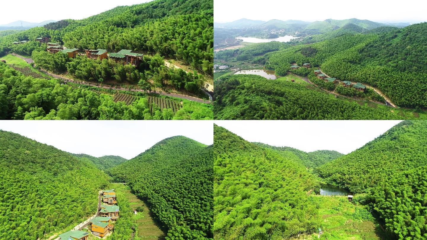 竹林山林山川竹子竹山航拍竹园