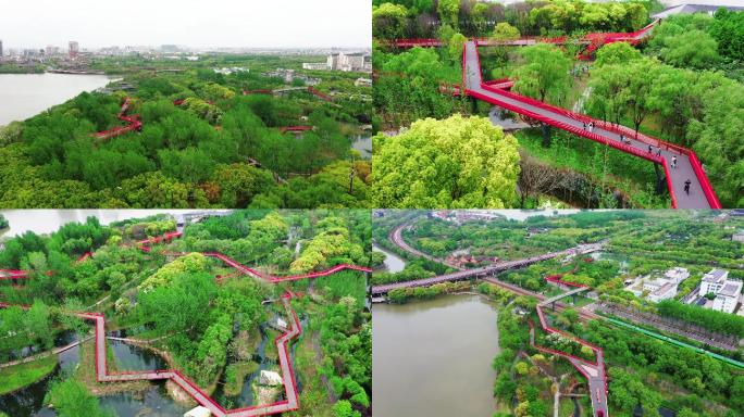嘉兴网红桥西南湖空中廊桥4k