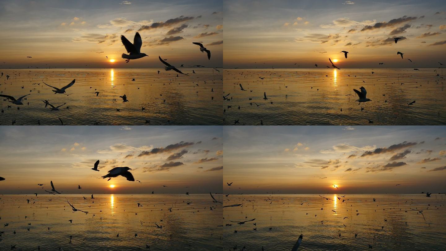 日落时在海面上飞翔的海鸥
