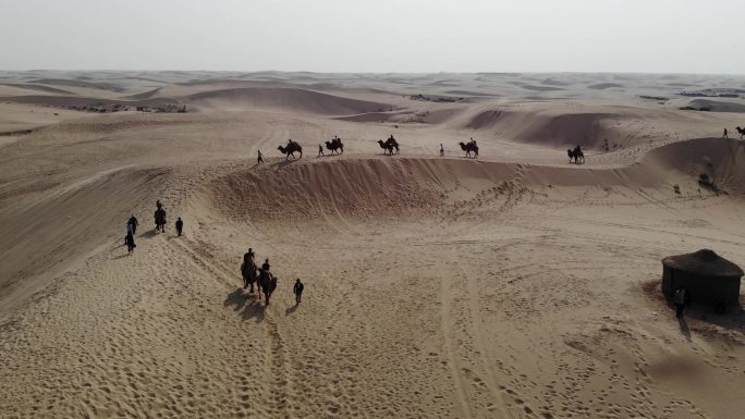 内蒙古奈曼旗沙漠骆驼航拍素材