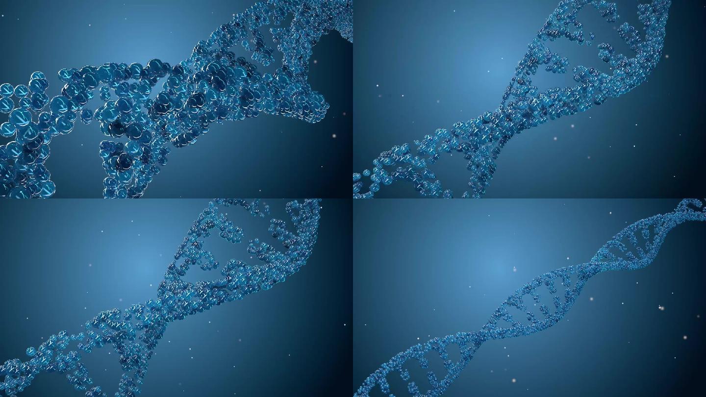 DNA生物链条