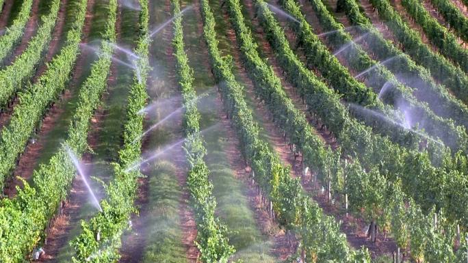 灌溉设备洒水系统农业农业洒水器机