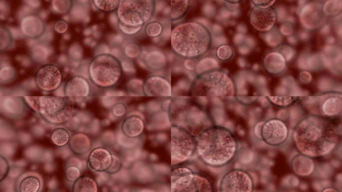 三维细胞合成素材元素细胞动画模型穿梭三维