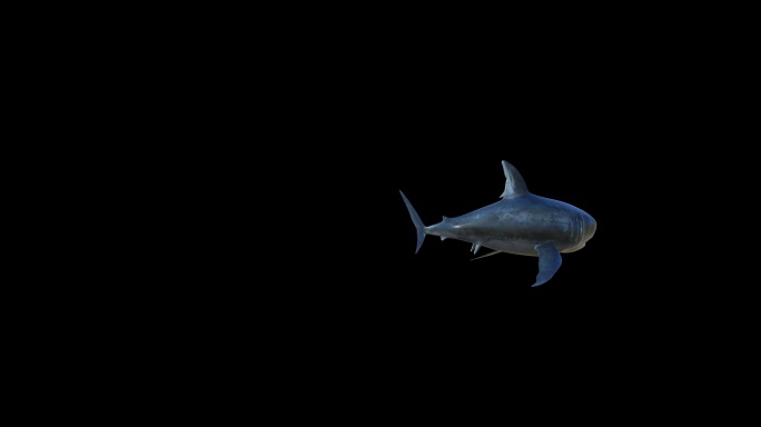 深海鲨鱼3